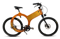 2024-07-26_WoodenBike